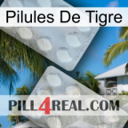 Tiger Pills 17